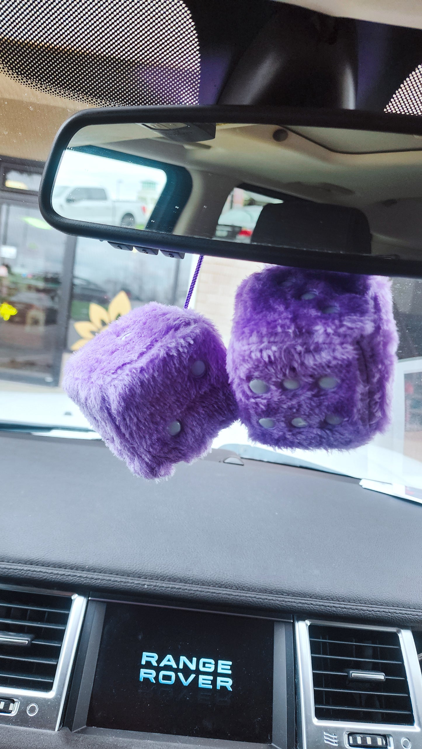 LARGE Fuzzy Purple Car 1 Dice