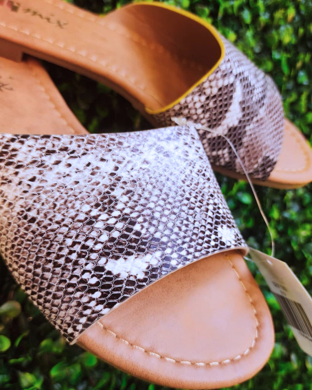 Venomous Vibe Flats