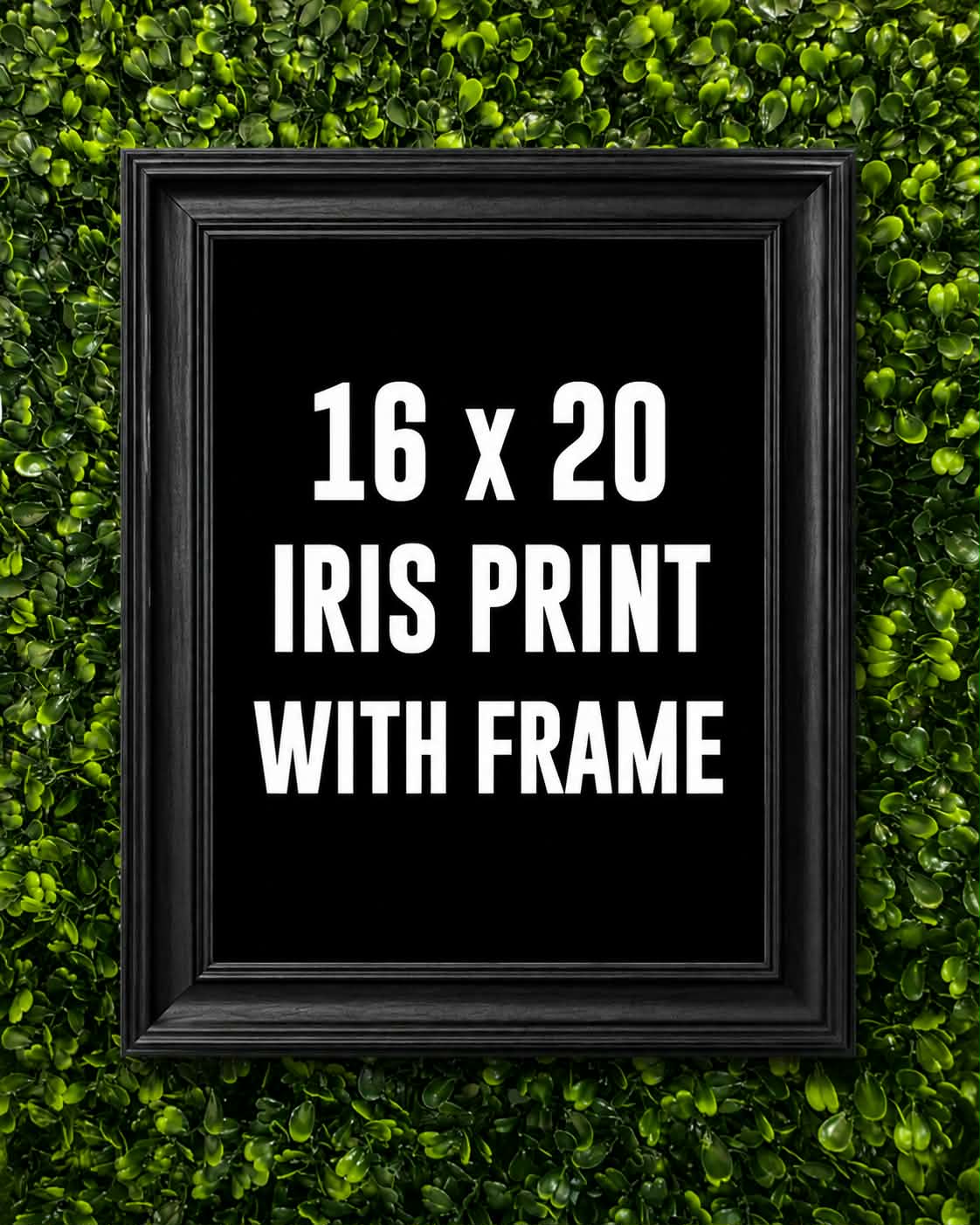 16×20 Iris Print With Frame