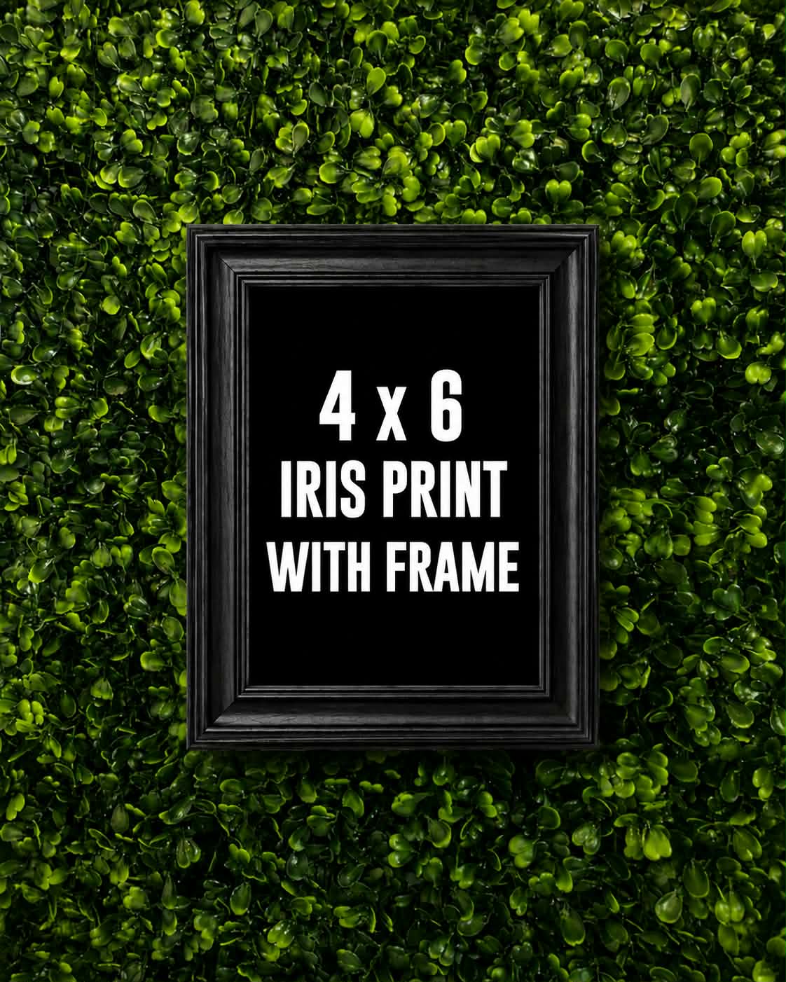 4×6 Iris Print With Frame