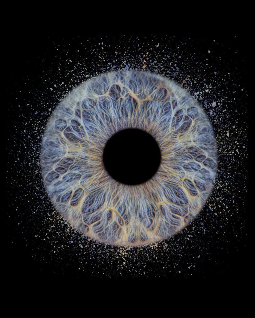 Single Iris Design