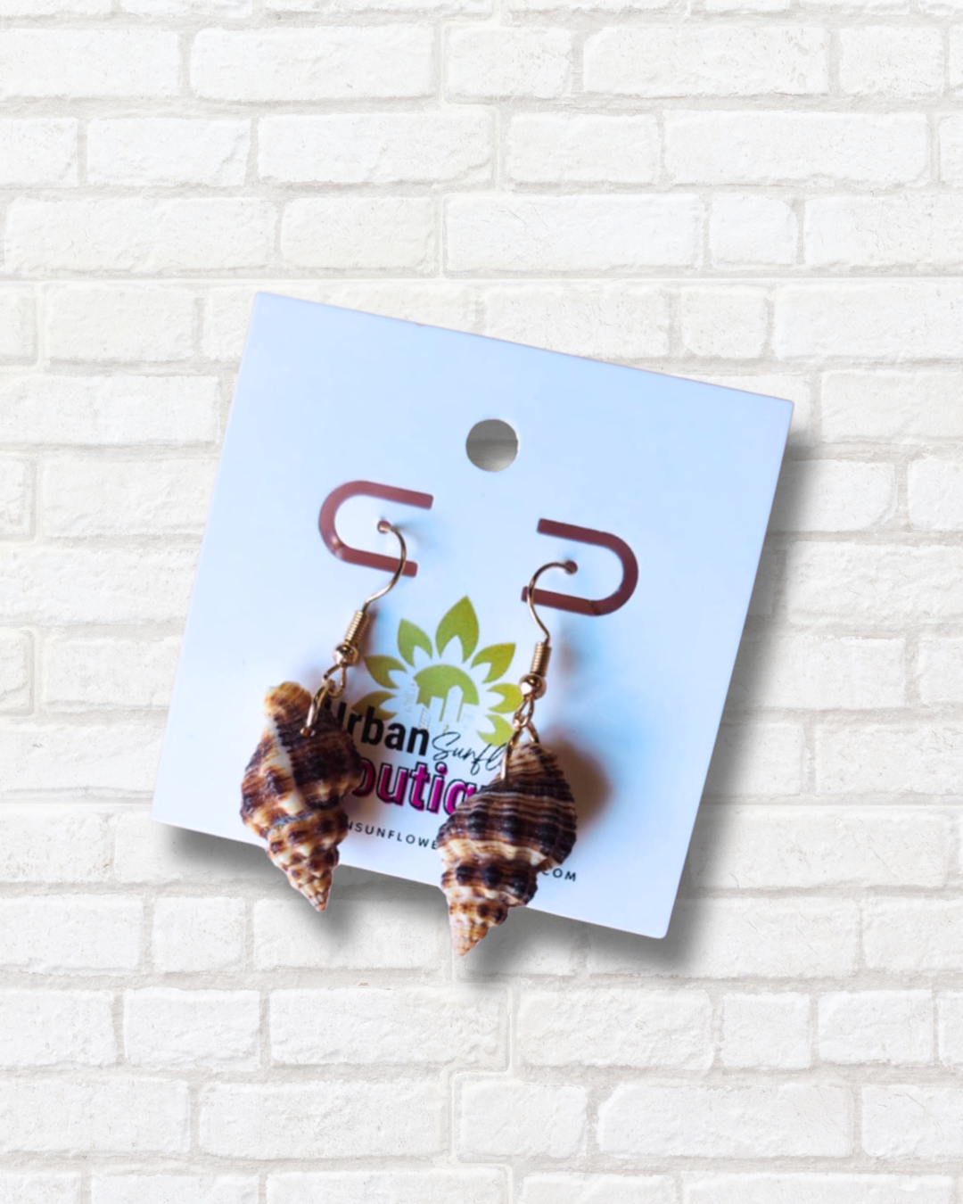Assorted Seashell Earrings