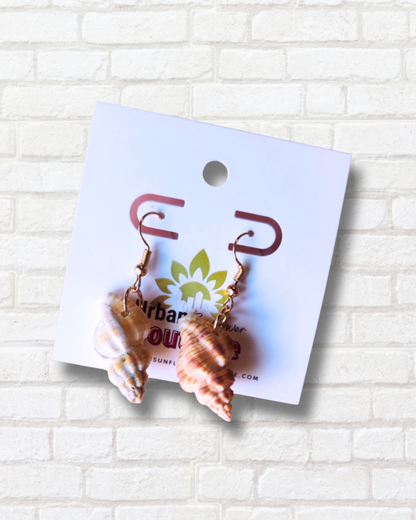 Assorted Seashell Earrings