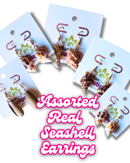 Assorted Seashell Earrings