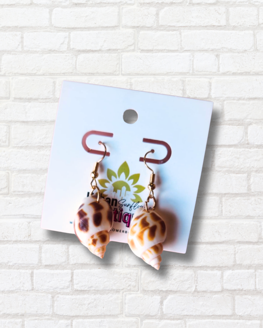 Assorted Seashell Earrings