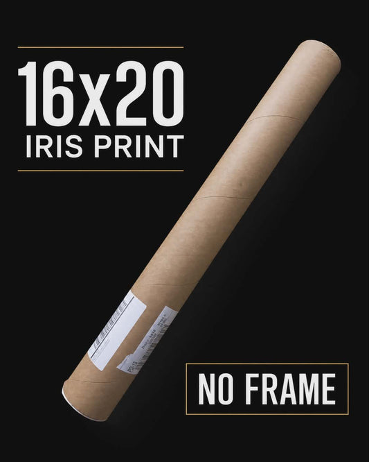 16×20 Iris Print NO Frame