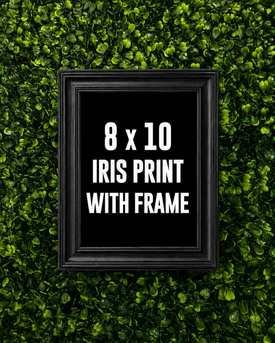 8×10 Iris Print With Frame