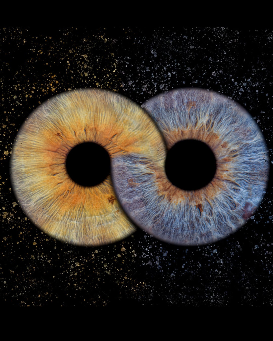 Double Iris Design