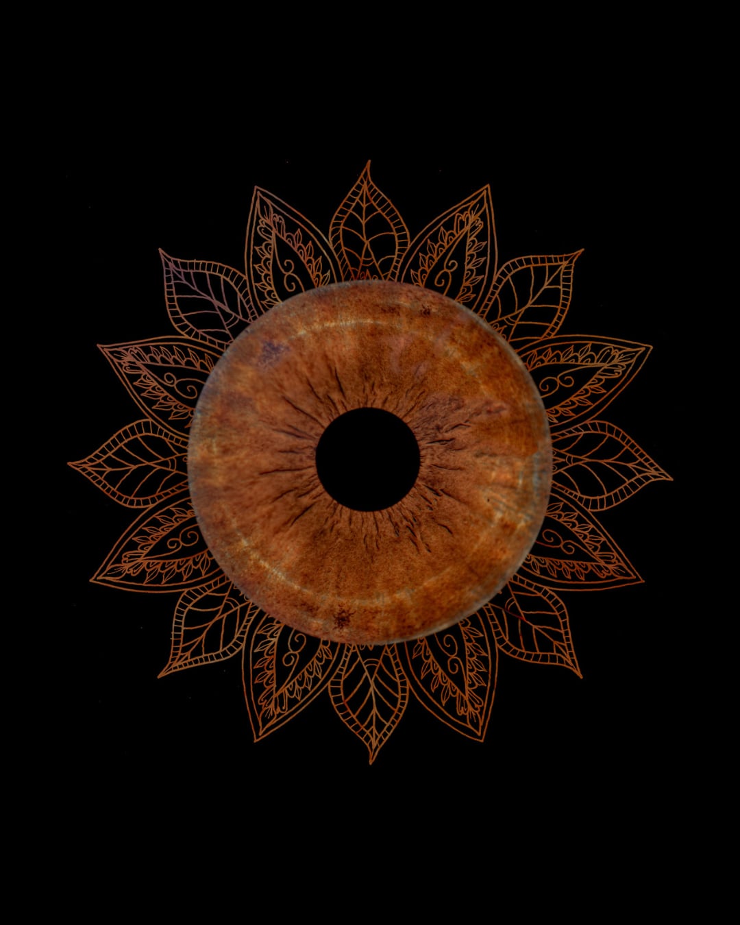 Single Iris Design