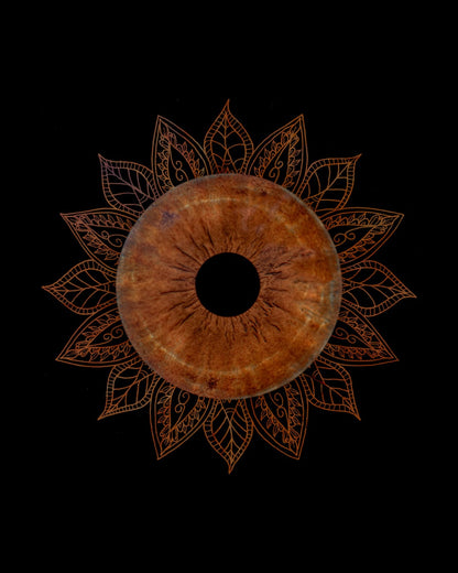 Single Iris Design
