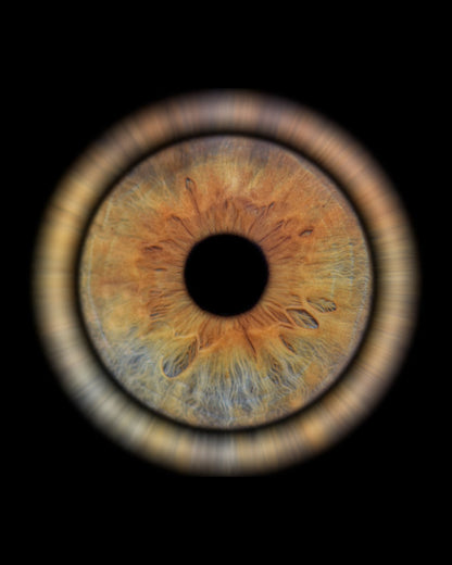 Single Iris Design