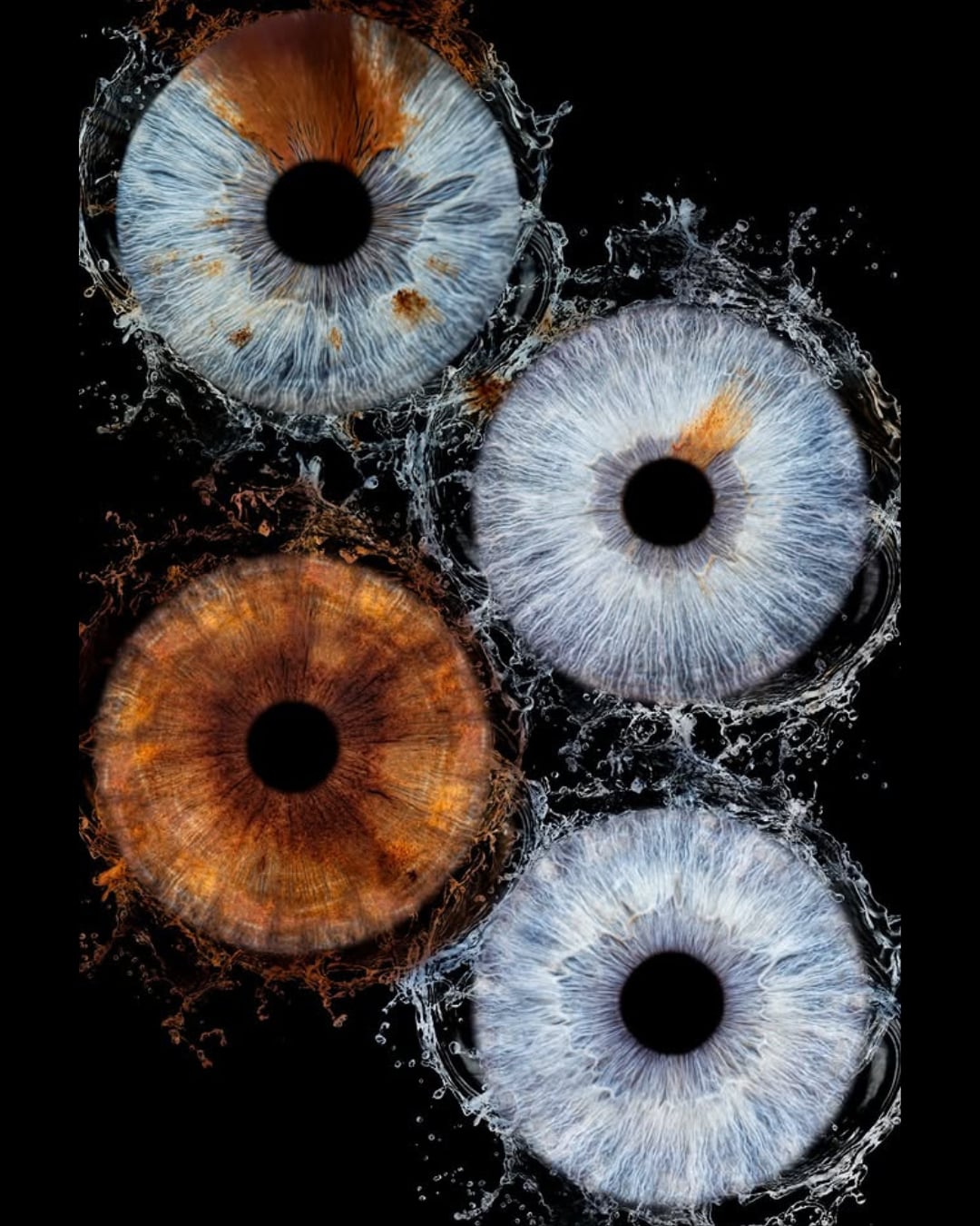 Add Additional Iris
